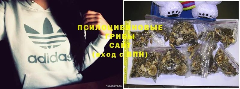 Галлюциногенные грибы MAGIC MUSHROOMS  купить наркотики цена  Белинский 